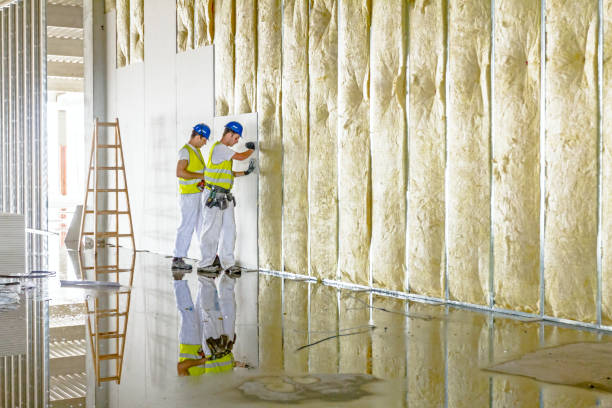 Best Spray Foam Insulation in Sandia Heights, NM